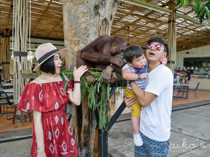 【遊峇里島】親子旅行必吃早餐：跟紅毛猩猩吃早餐@Bali Zoo