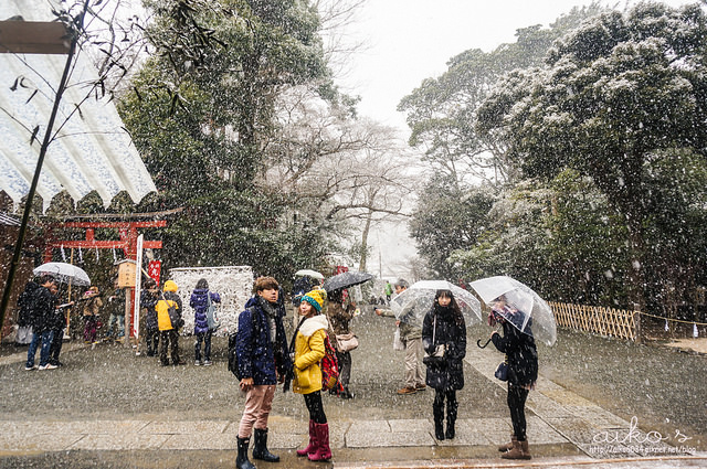 【日本鎌倉】跨年之旅～鶴岡八幡宮新年初詣初雪、和民午間套餐、錢洗弁財天宇賀福神社、佐助稻荷神社、高德院鐮倉大佛。