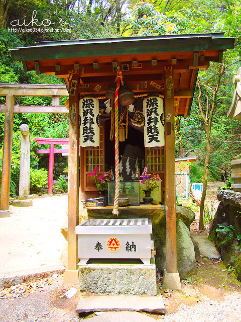 【日本東京】箱根周遊券～交通手段大匯集！箱根登山電車深澤錢洗弁財天、塔之澤火伏觀音、箱根湯本散策。