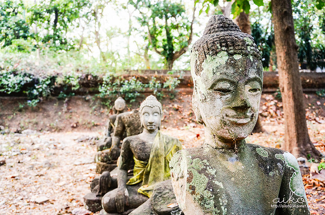 【泰國清邁】最古老的寺廟：悟孟寺Wat UMong，大隱於市的桃花源～彷若來到微笑高棉。