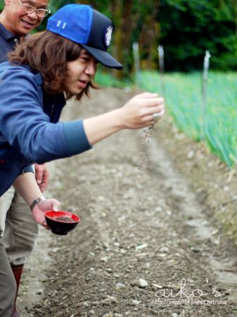 【桃園大溪】石園農場～抓雞.釣魚.種菜.摸蜆仔.老街遊覽再來頓活魚大餐，暑期幸福的旅程～