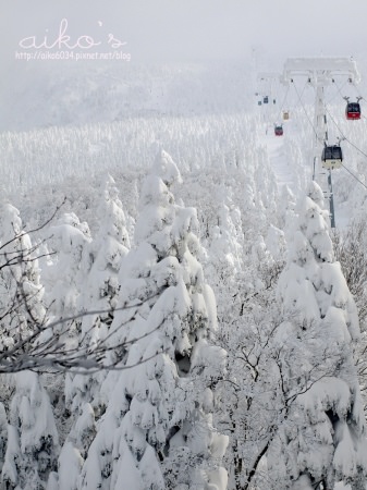 【日本山形】藏王樹冰雪怪遊～藏王纜車地藏山頂站，居高臨下看樹冰！