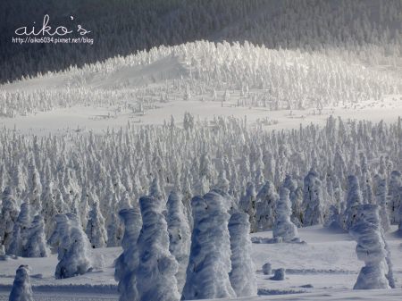 【日本宮城】東北藏王樹冰雪怪遊～雪車直達藏王樹冰，雪怪近在眼前！